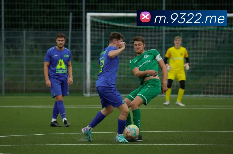 太阳城娱乐平台发展历程